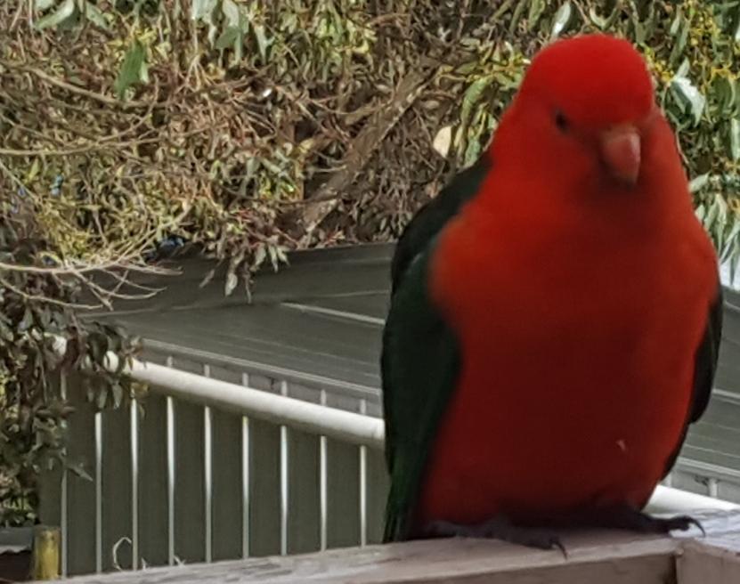 Wilsons Promontory Motel Фостер Экстерьер фото